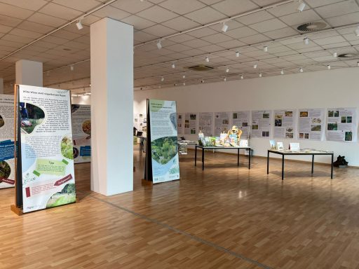 NUA Ausstellung Gevelsberg